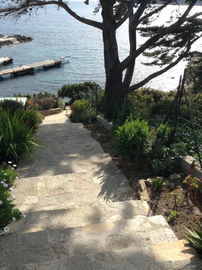 Villa Mirabel Île du Levant 외부 사진