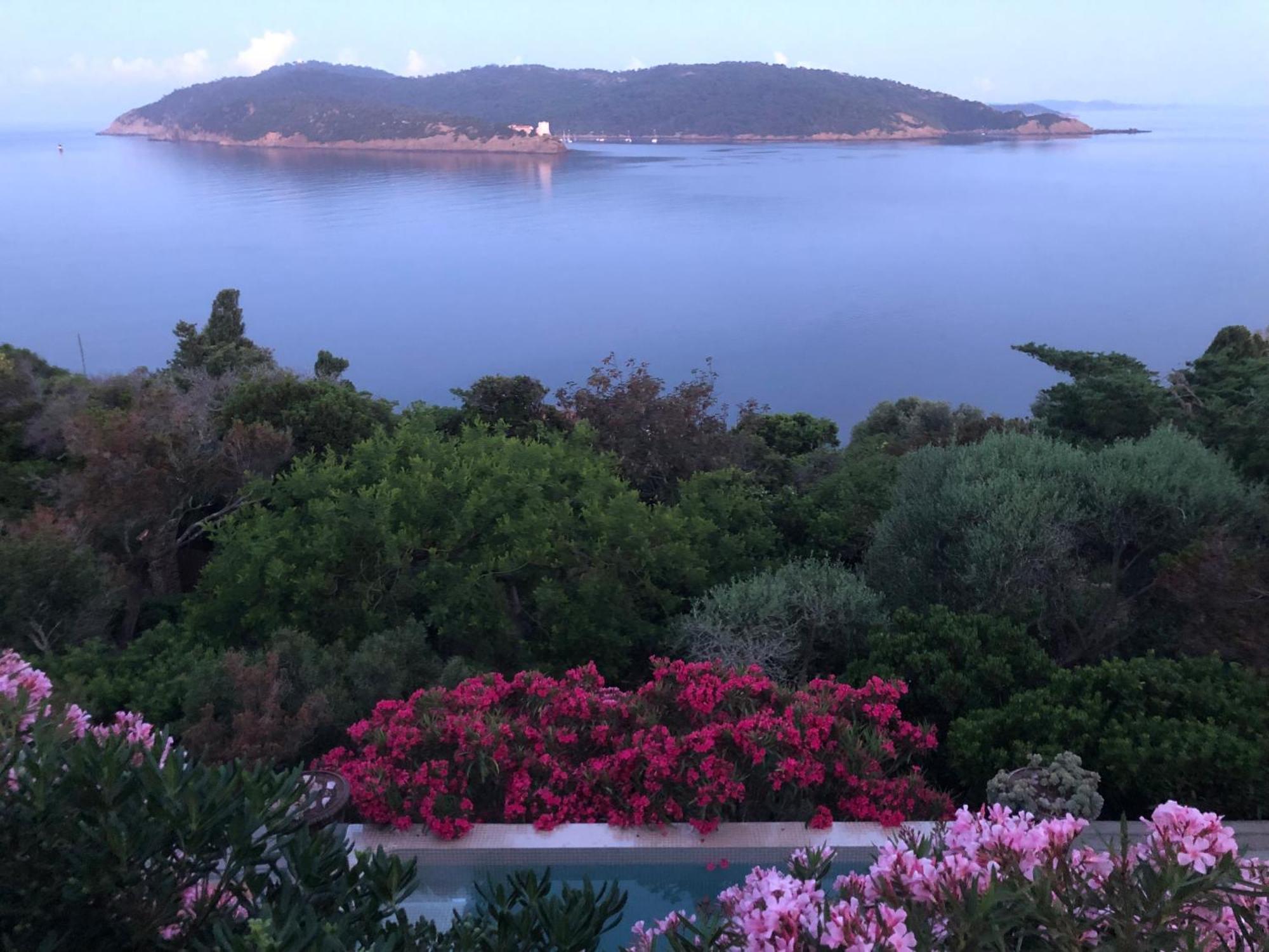 Villa Mirabel Île du Levant 외부 사진